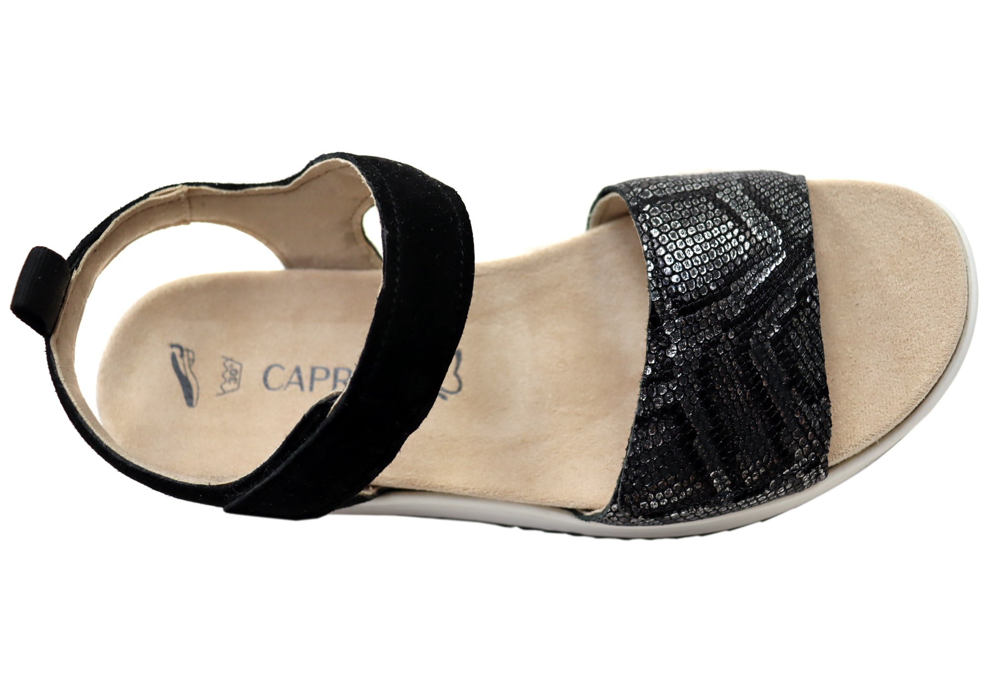 Black Comb