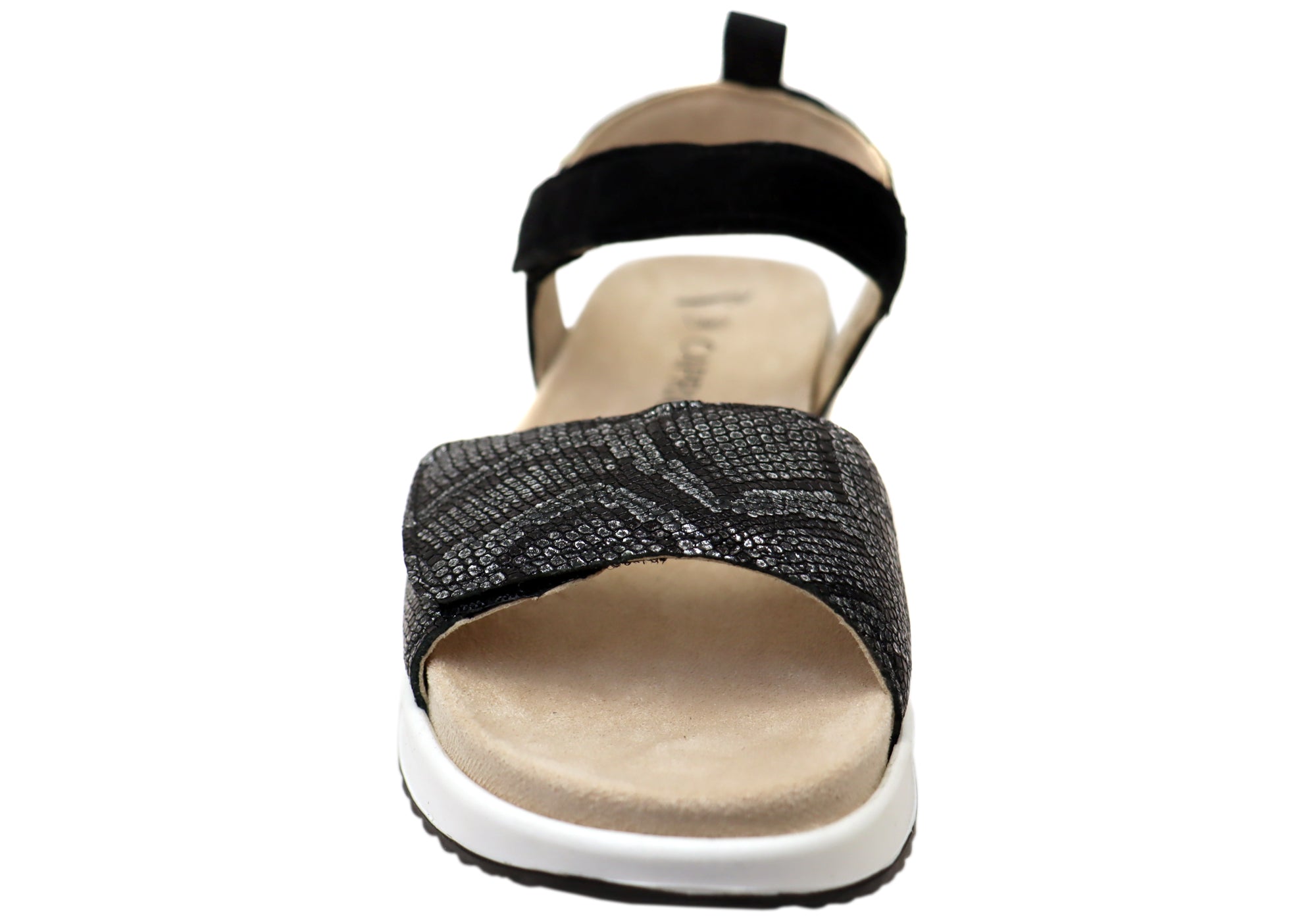 Black Comb