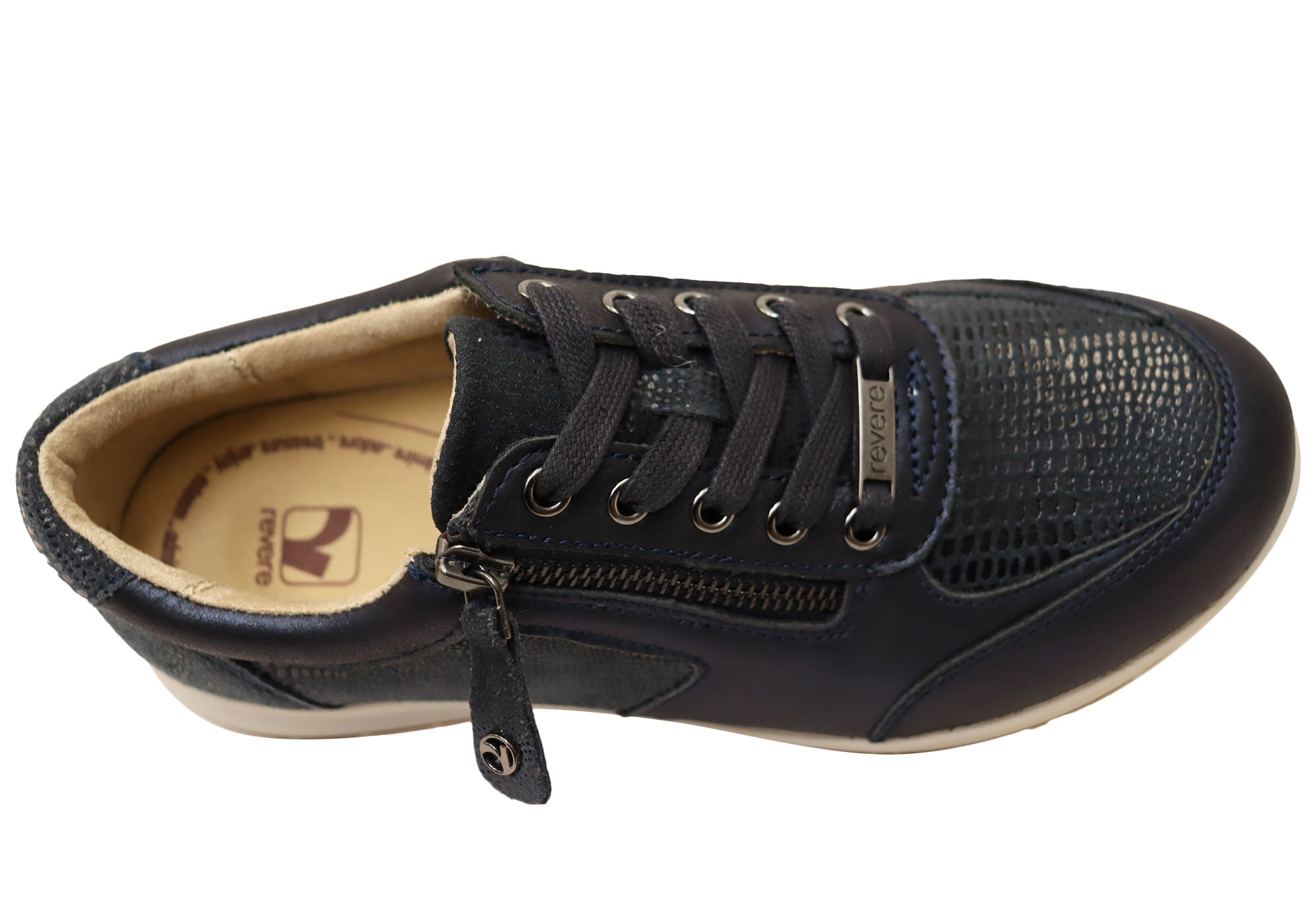 Sapphire Navy Lizard