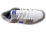 DC Shoes Mens Cure Comfortable Leather Shoes White Grey Blue