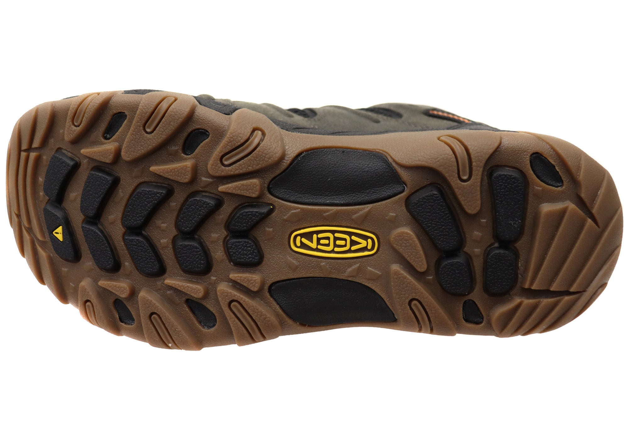 Black Olive Fossil Orange