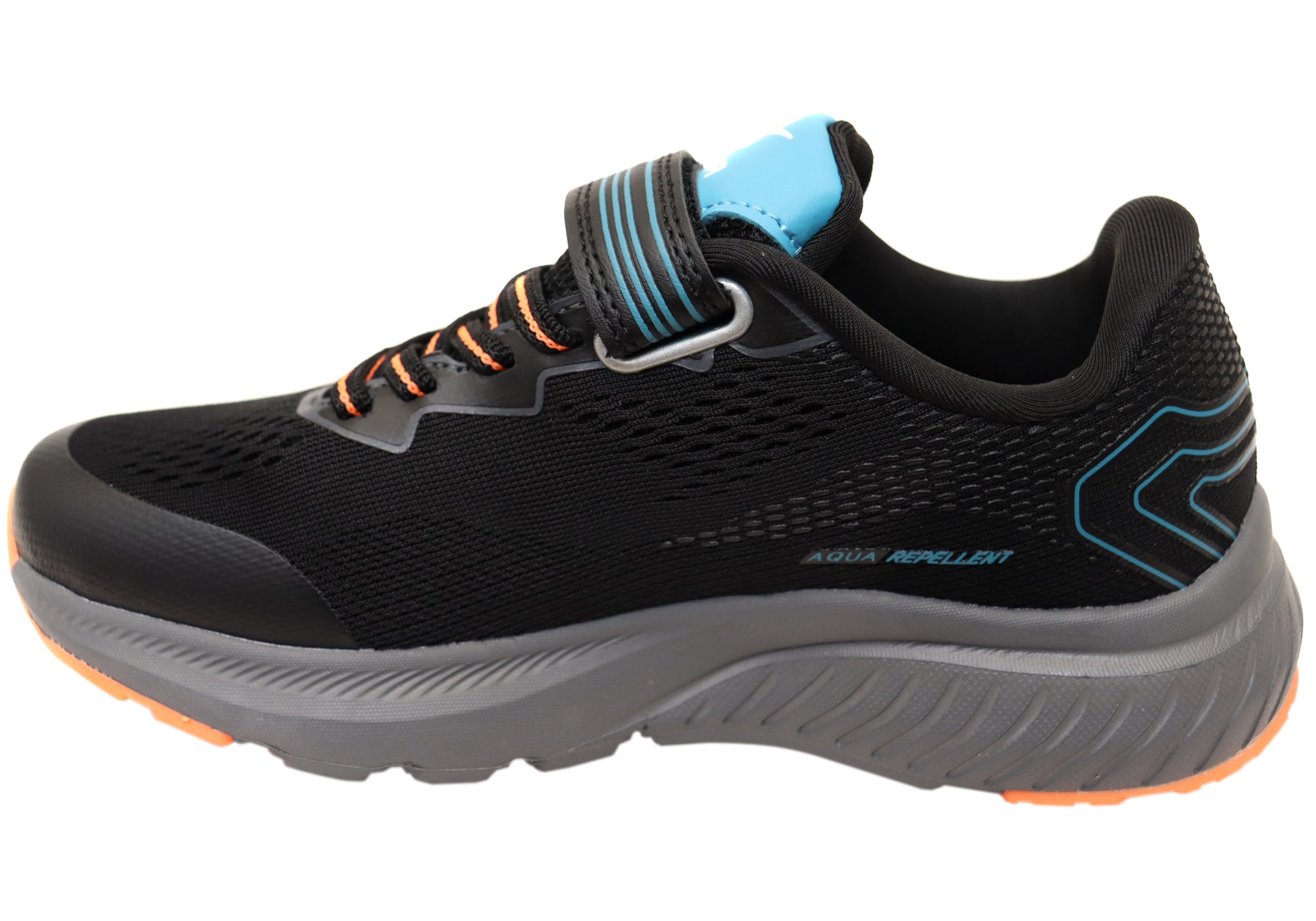 Black Teal