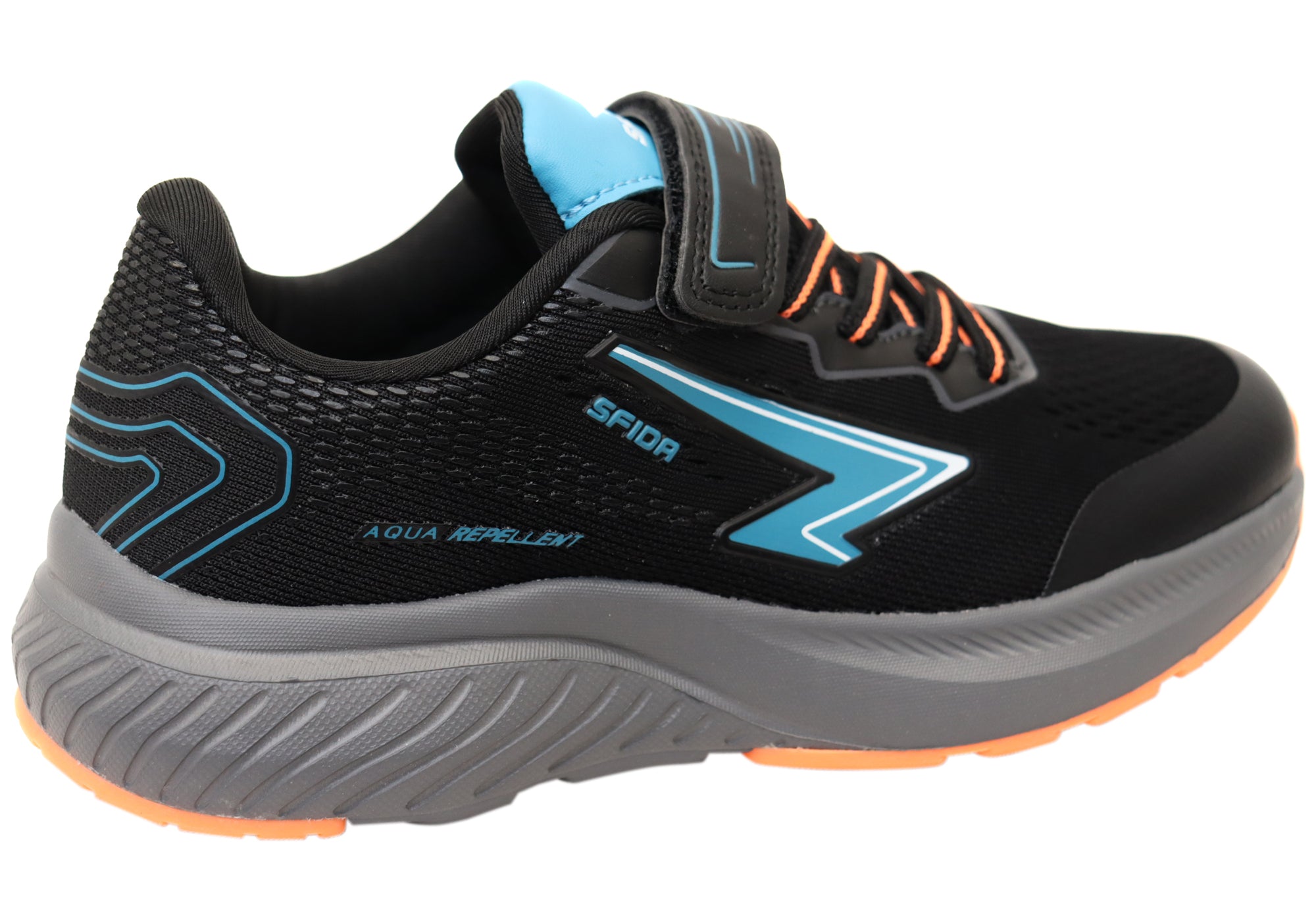 Black Teal