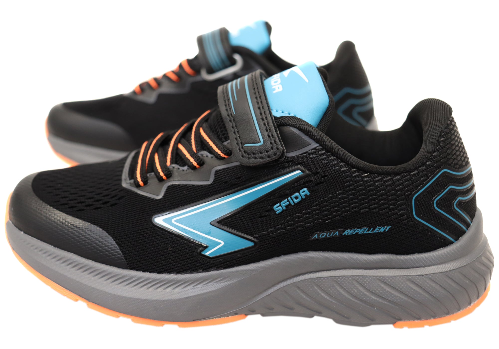 Black Teal
