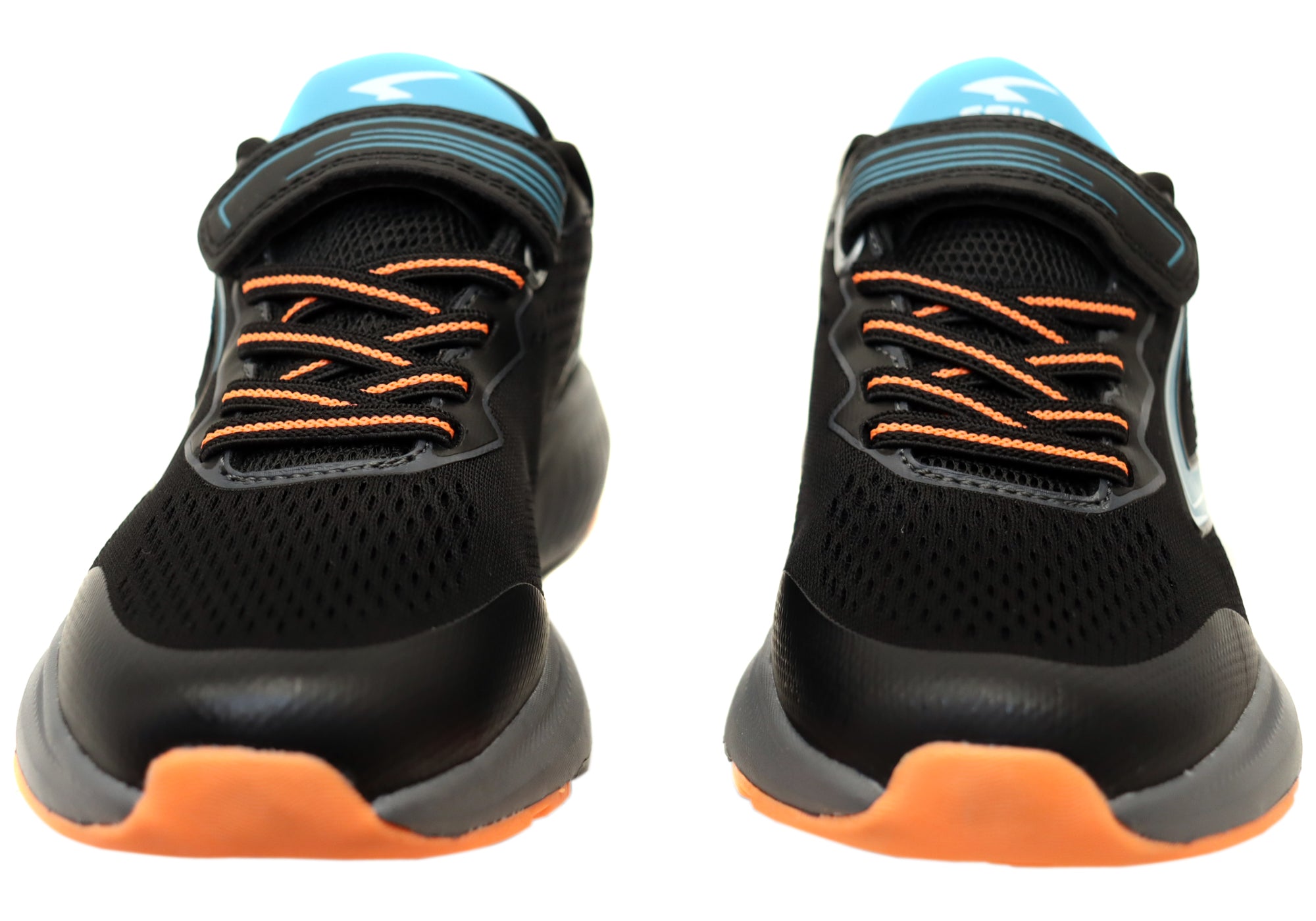 Black Teal