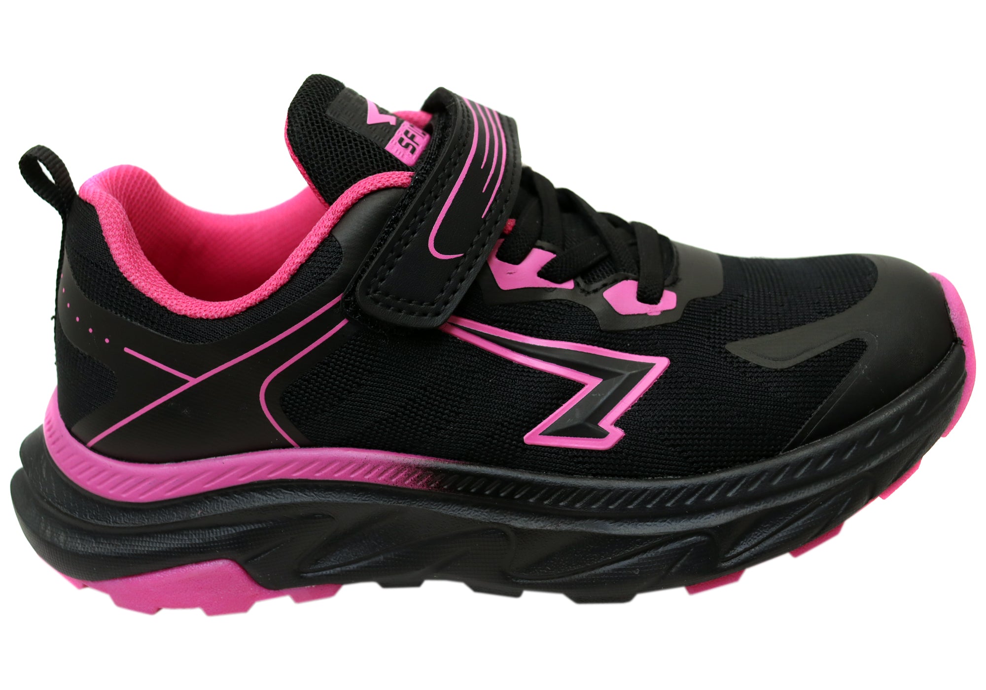 Black Fuchsia
