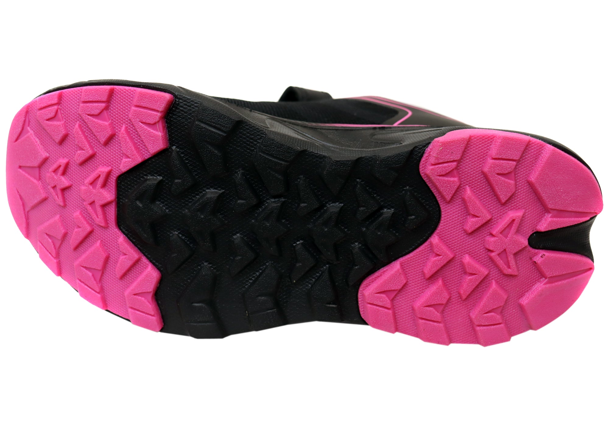 Black Fuchsia