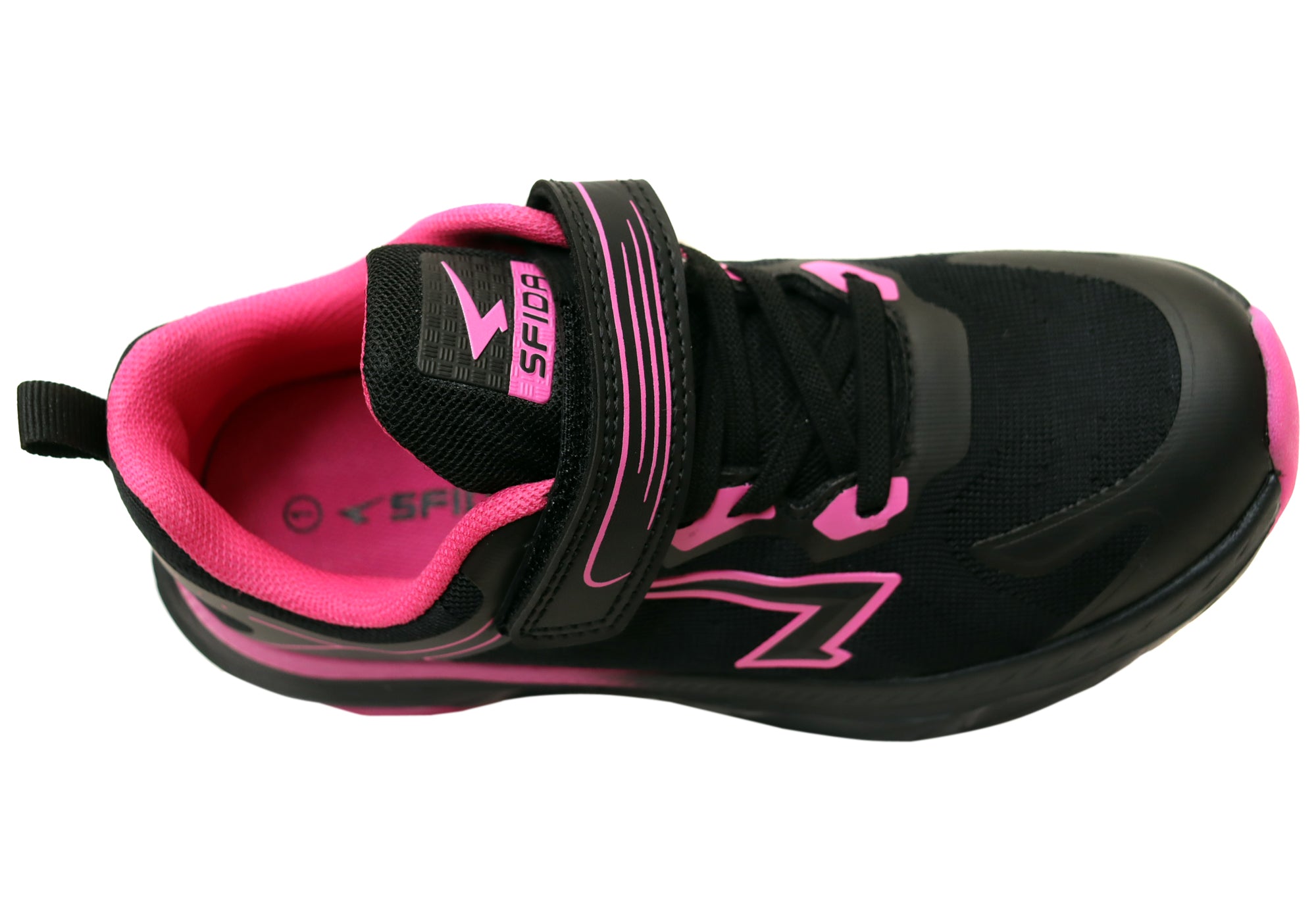 Black Fuchsia