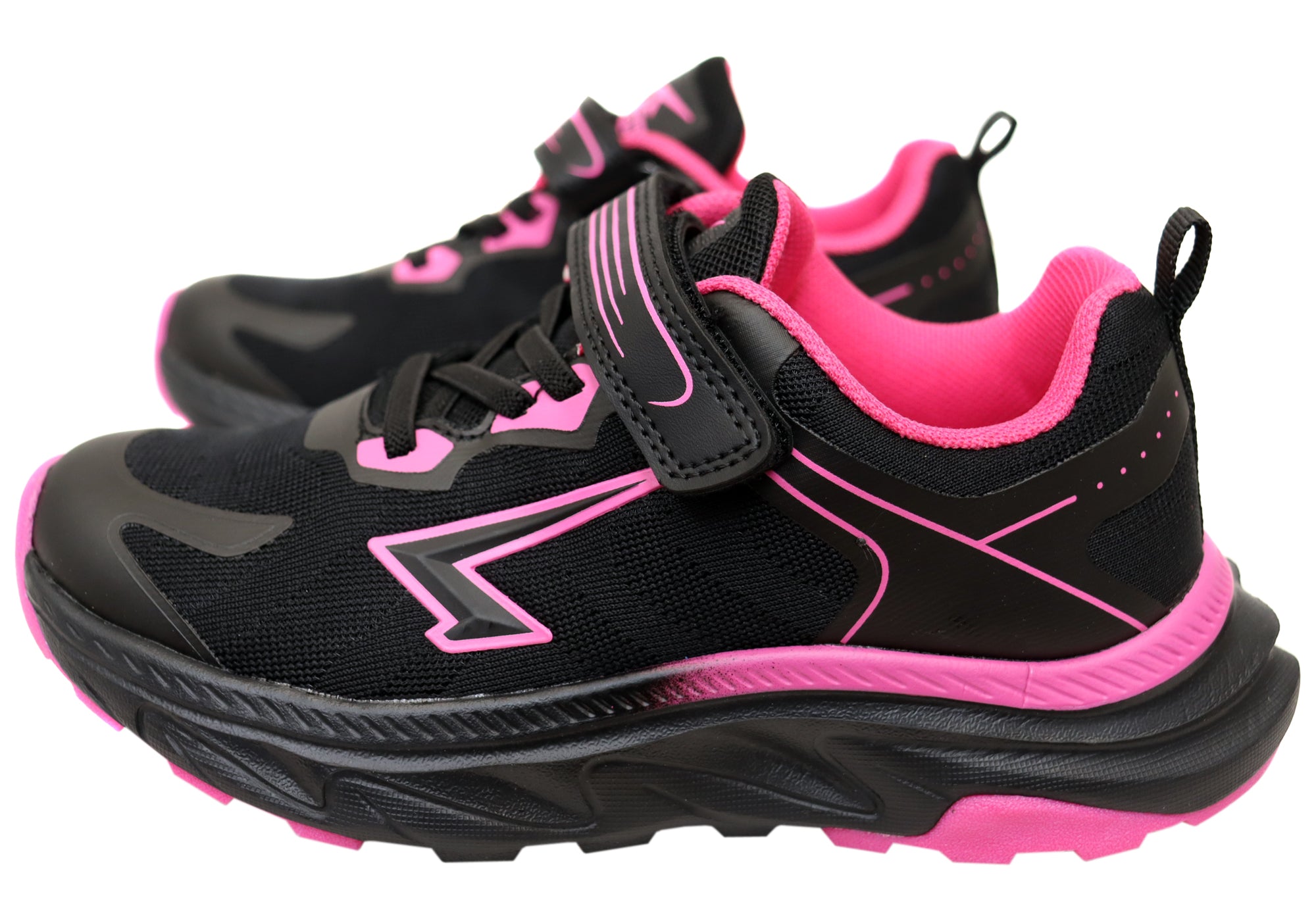 Black Fuchsia