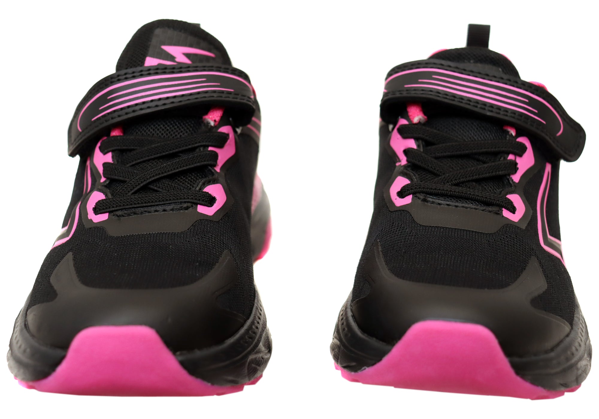 Black Fuchsia