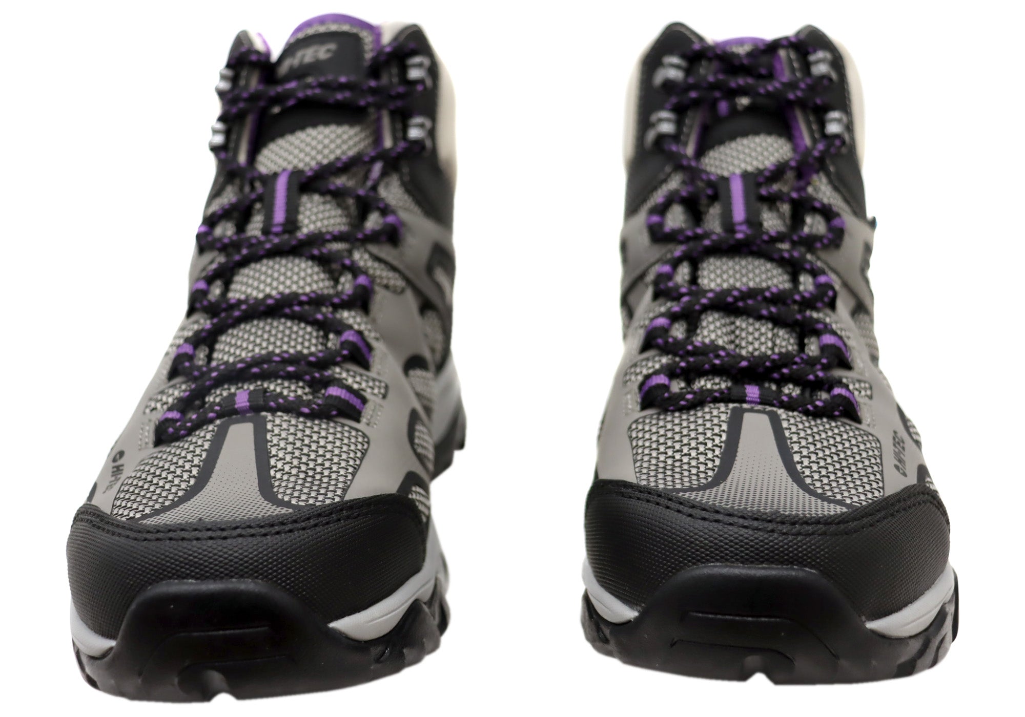 Paloma Purple