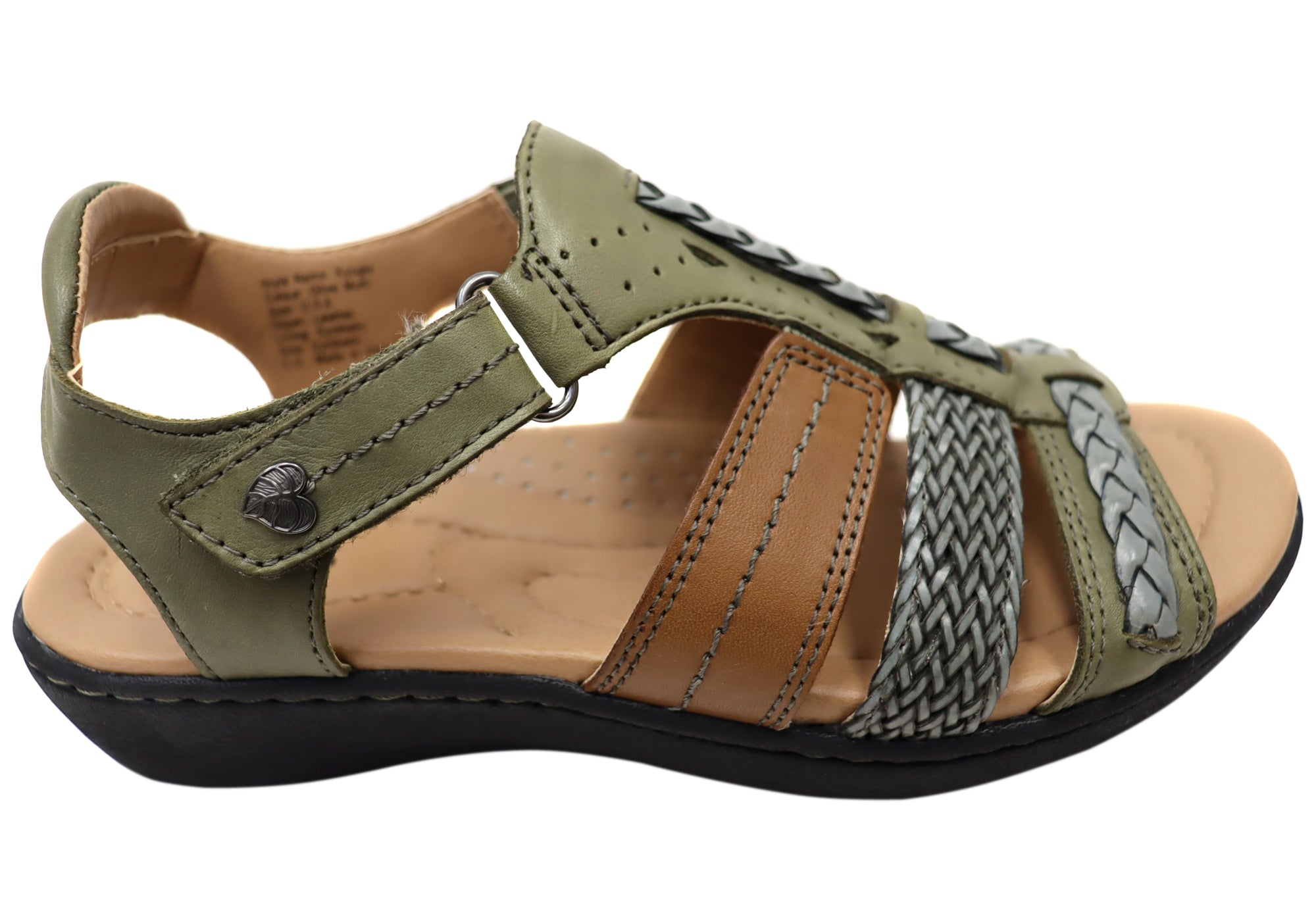 Olive Multi