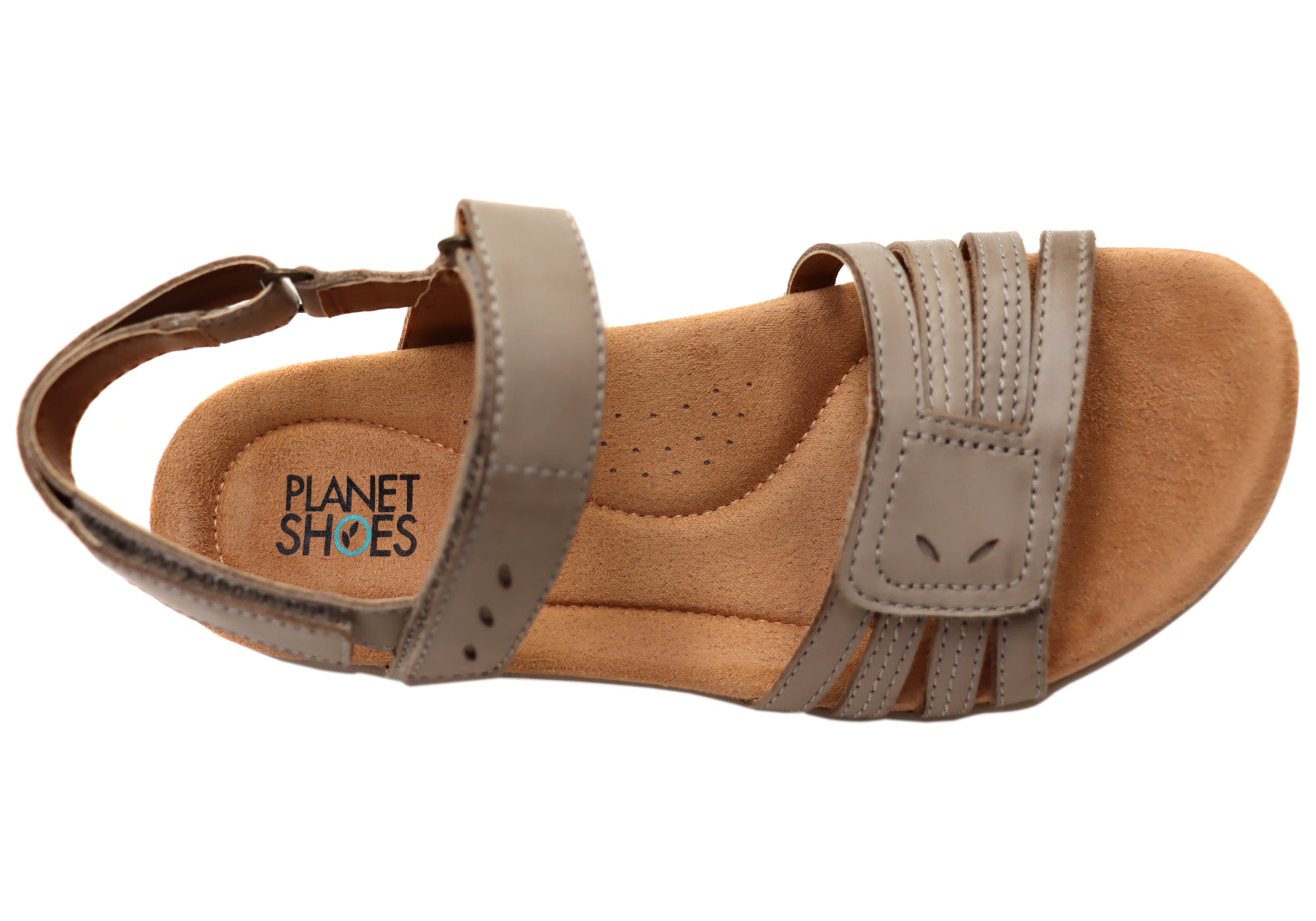 Taupe