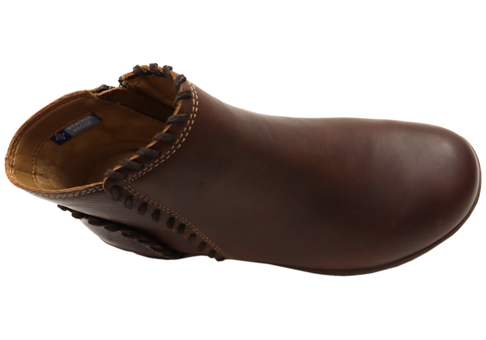 Bridle Brown