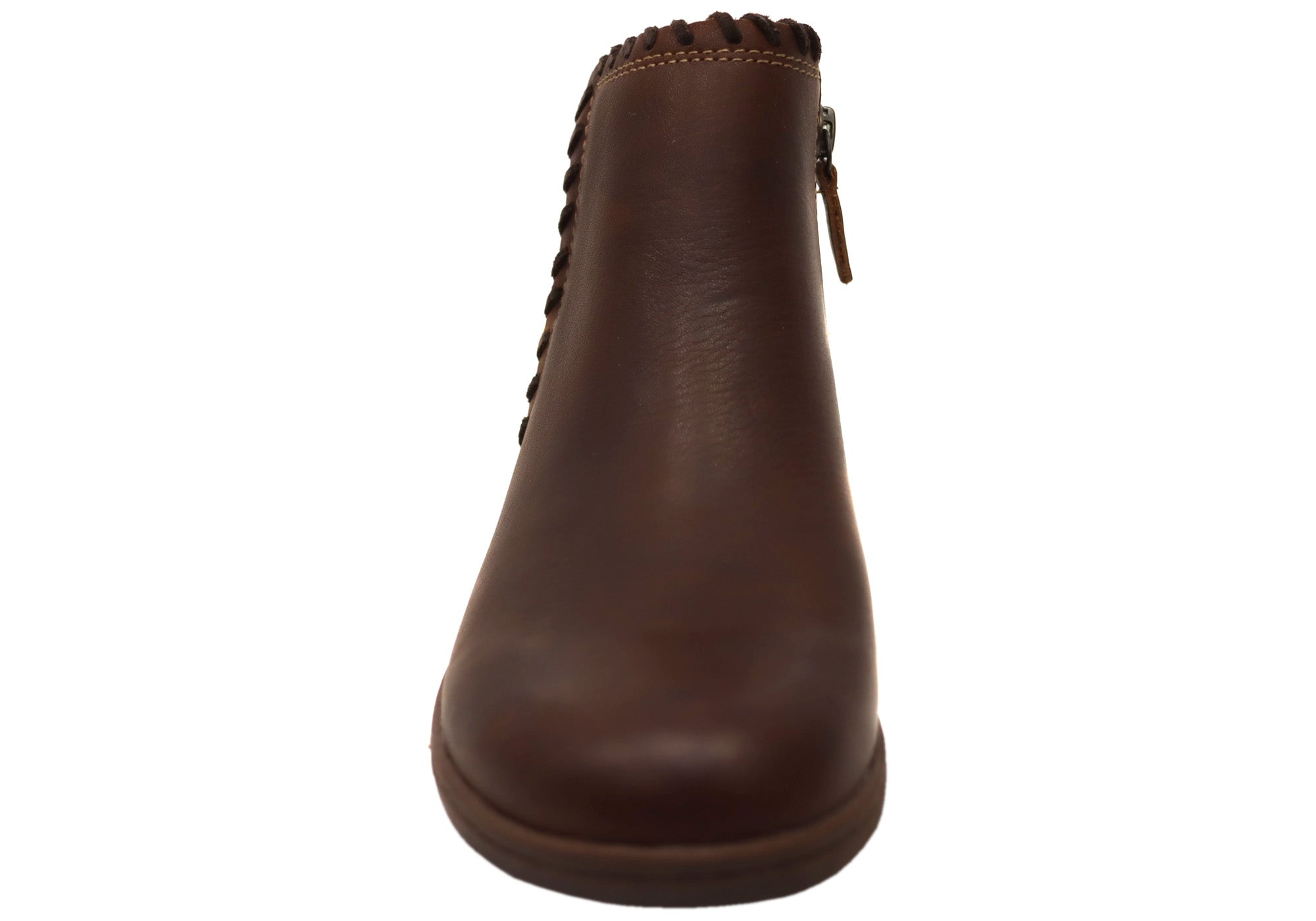 Bridle Brown