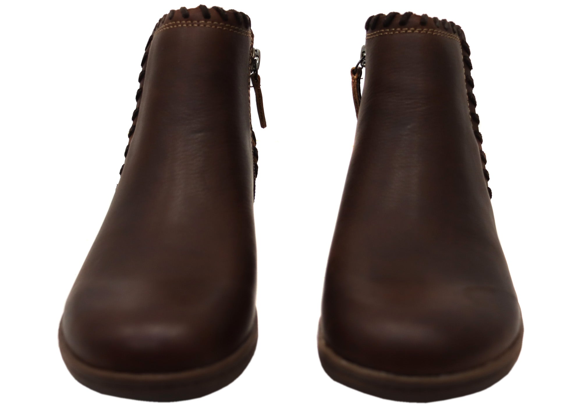 Bridle Brown