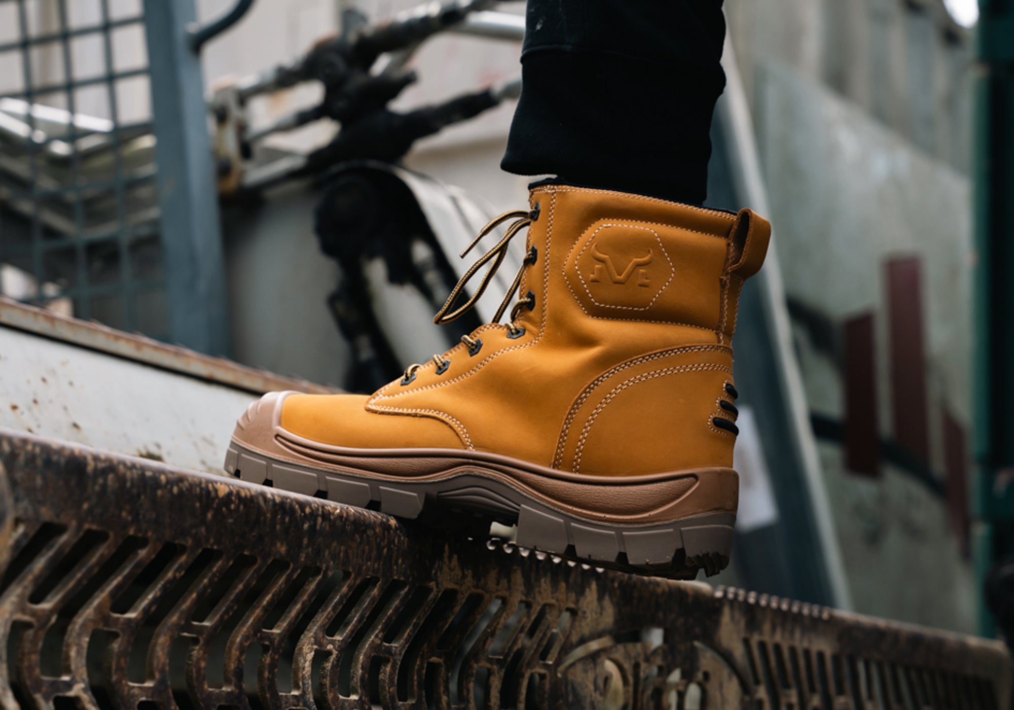 Wheat