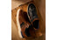 Wild Rhino Blast Mens Comfortable Leather Lace Up Casual Shoes