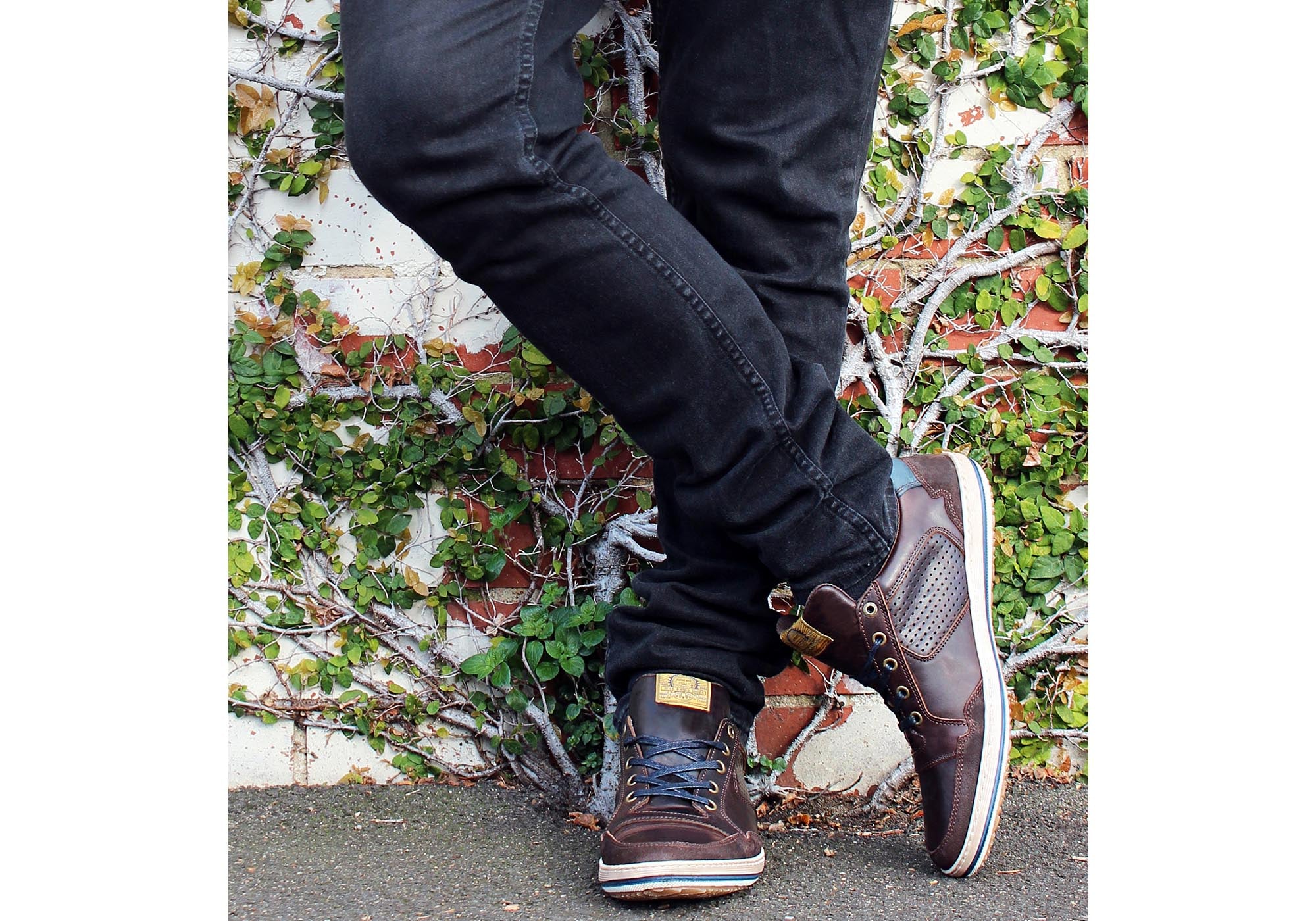 Dark Brown