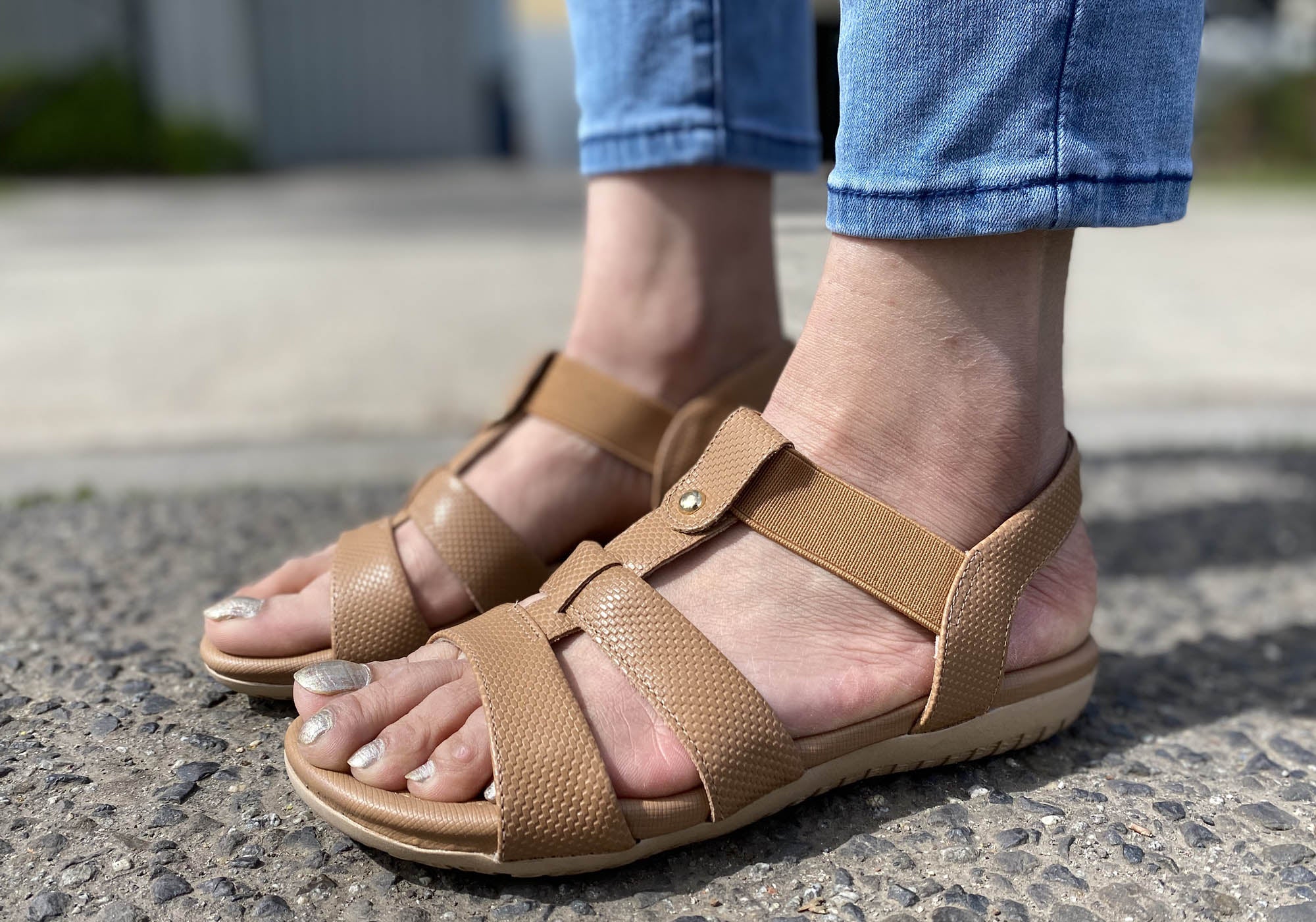 Camel
