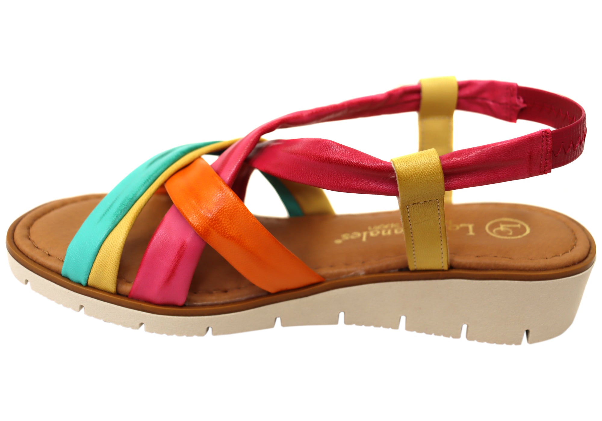 Fuschia Multi