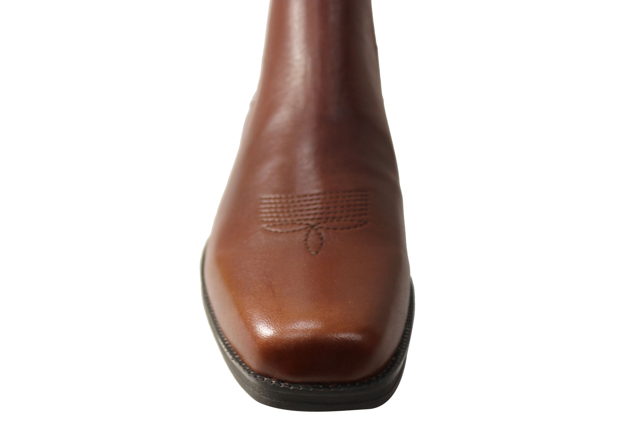 Acorn