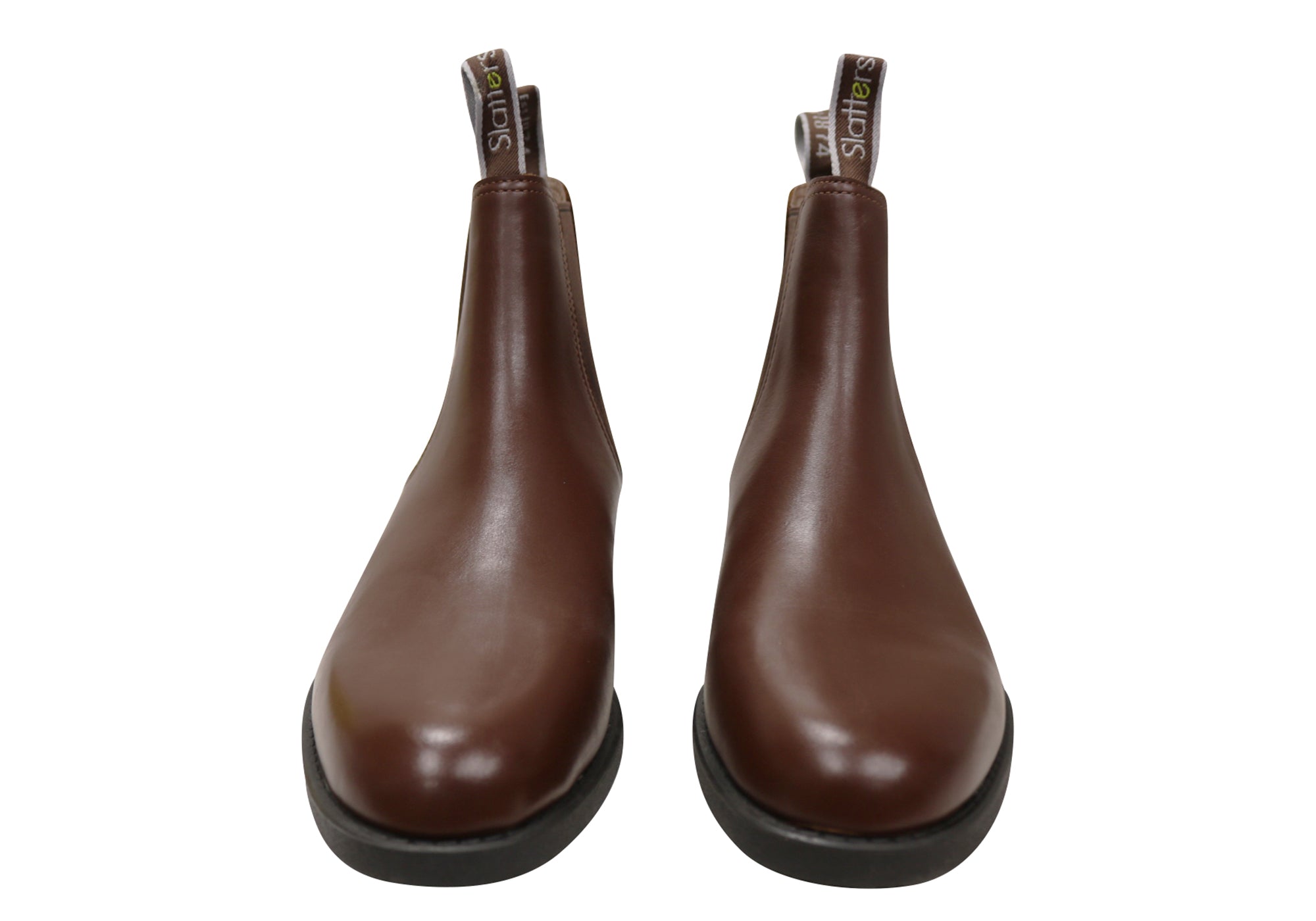 Acorn