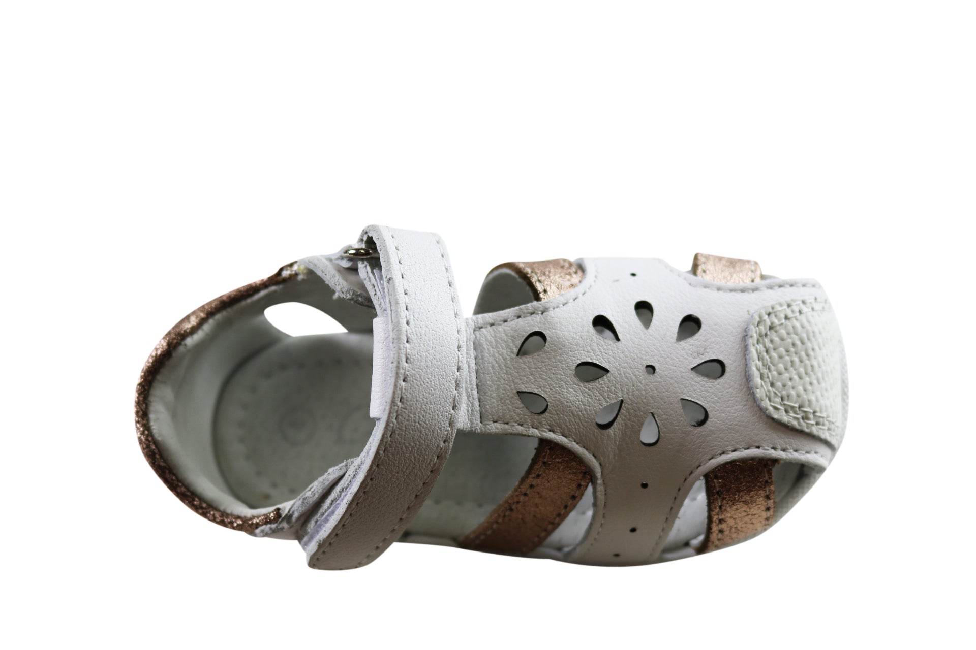 White/Rose Gold