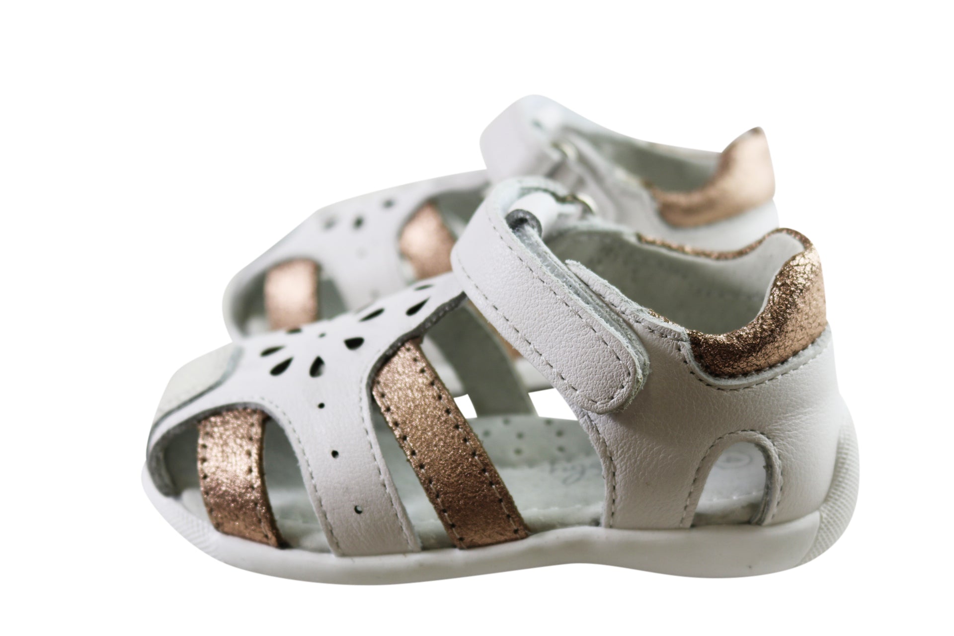 White/Rose Gold