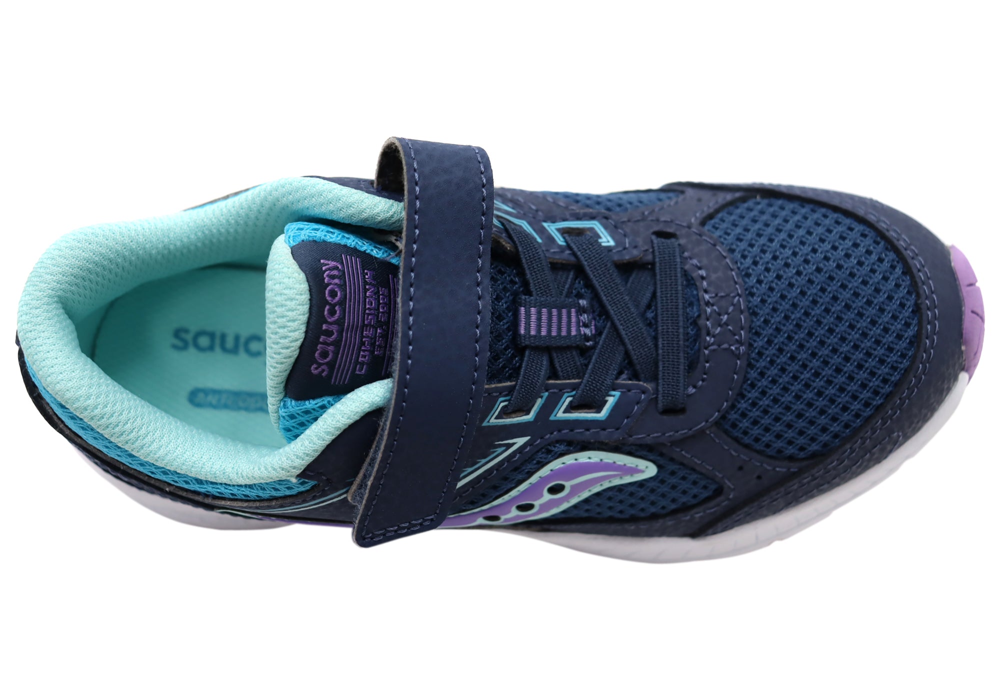 Turquoise Purple