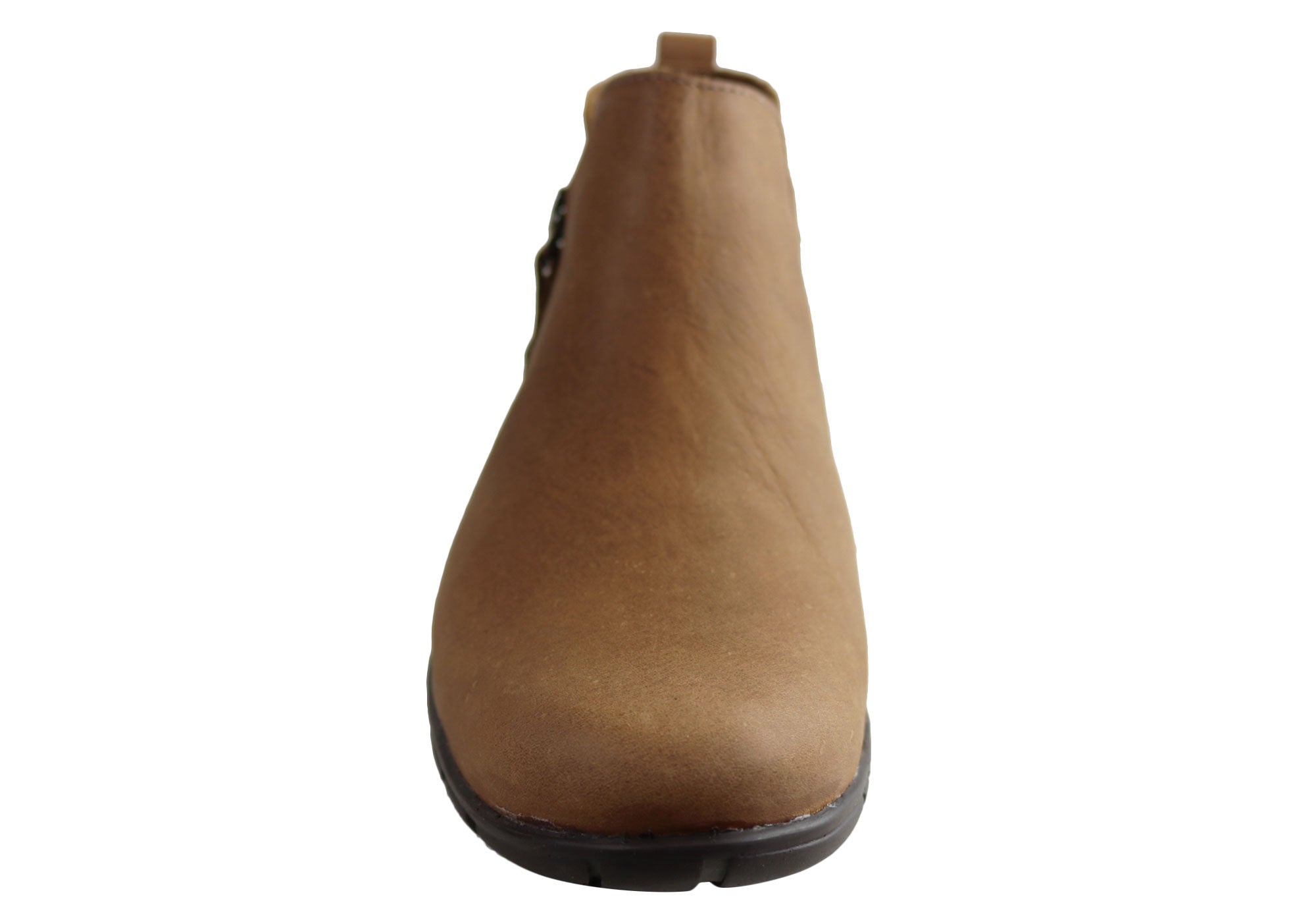 Camel